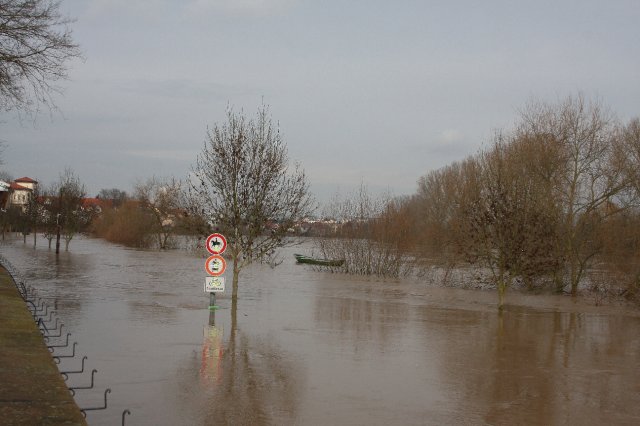 Hochwasser Seligenstadt 18.01.2011 020.JPG